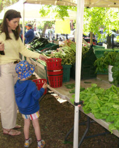 About the Market - Wicker Park & Bucktown Chamber of Commerce